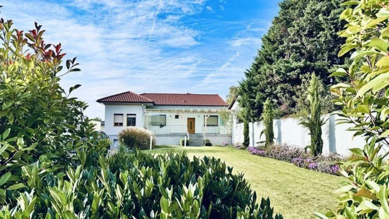 Gepflegter Gartenbereich mit üppiger Bepflanzung und Blick auf das charmante Einfamilienhaus unter blauem Himmel.