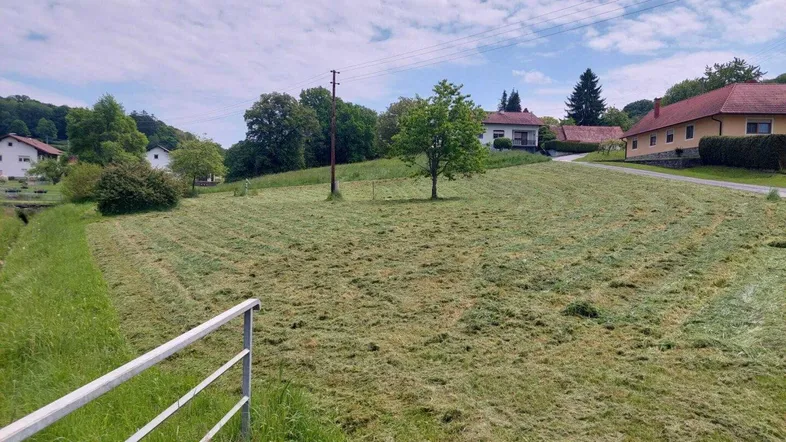 Weitläufige, frisch gemähte Grünfläche mit ländlichem Ausblick und Häusern im Hintergrund unter bewölktem Himmel.