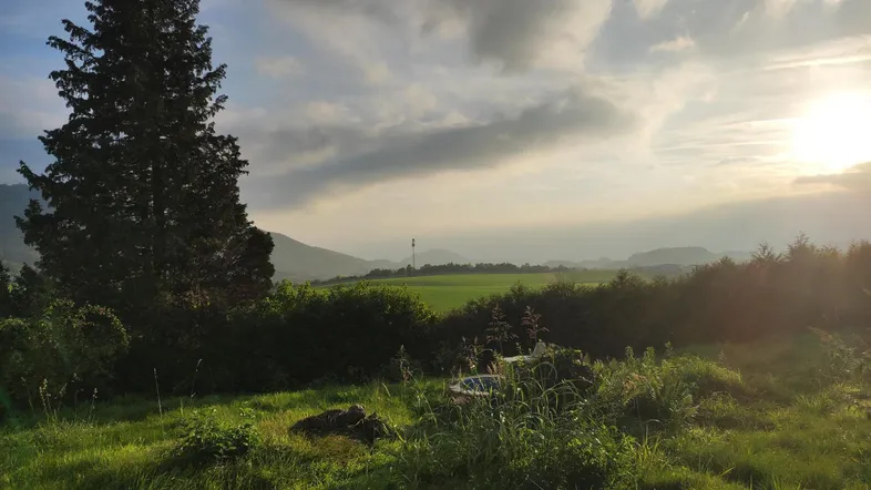 Weite grüne Landschaft mit Bergen im Hintergrund und einem großen Baum im Vordergrund bei Sonnenuntergang.