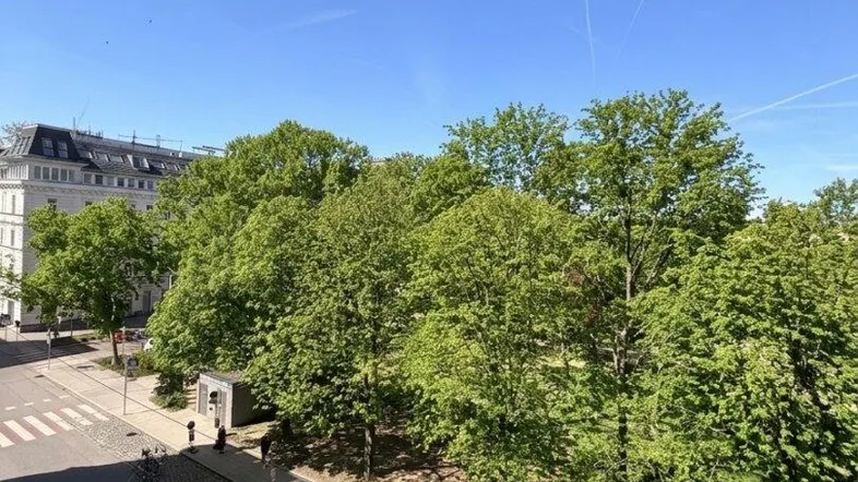Blick von oben auf eine von Bäumen gesäumte Straße mit parkenden Autos und Gebäuden.