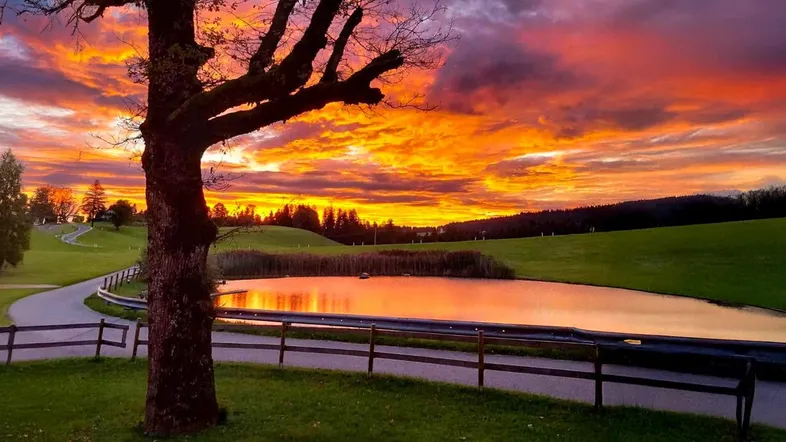 Spektakulärer Sonnenuntergang über einer idyllischen Landschaft mit Teich und grünen Wiesen.