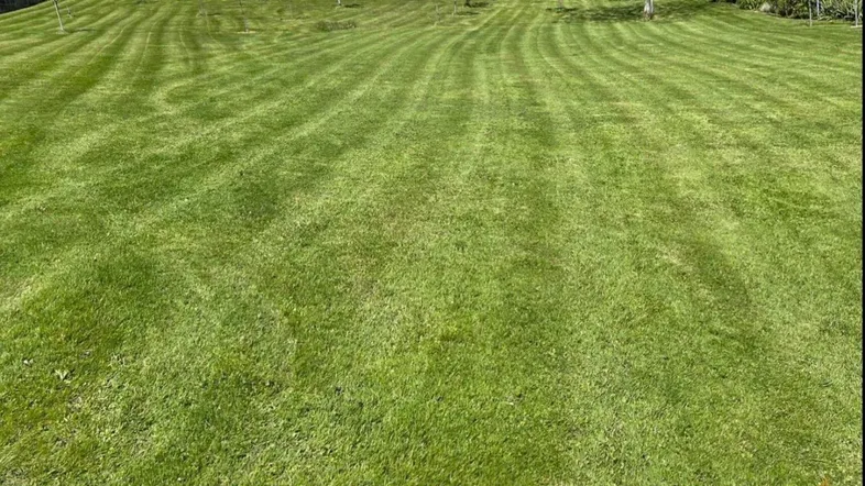 Baugrundstück in Top Ruhelage! #2