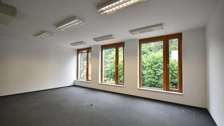 Geräumiges Büro mit Teppichboden, großen Holzfenstern und einem schönen Blick ins Grüne.