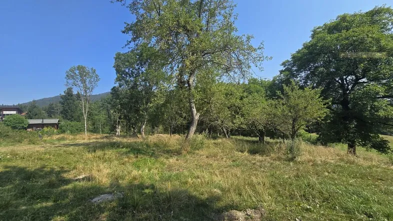 Grüne Wiese mit Bäumen und Blick auf die umliegende Natur und ein entferntes Gebäude.