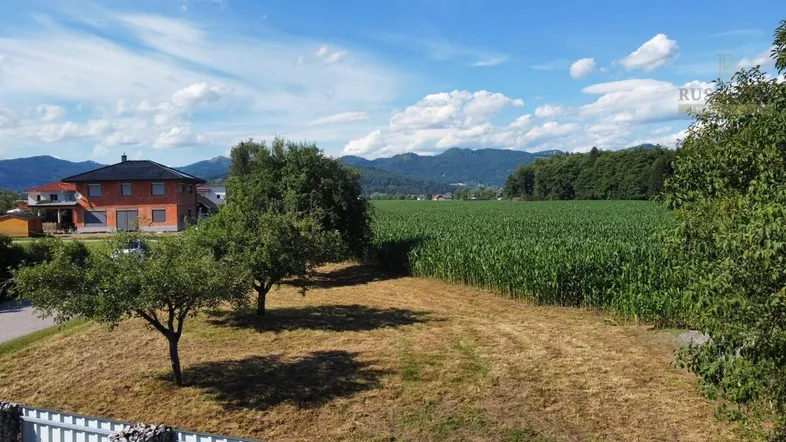 Weitläufiger Blick über ein Maisfeld auf die umliegende Landschaft und Berge unter blauem Himmel.