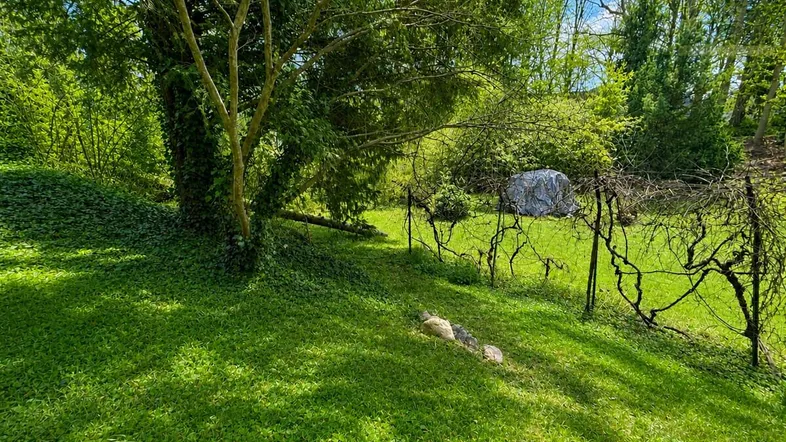 Grüner Gartenbereich mit Rasenfläche, Bäumen und natürlicher Vegetation unter blauem Himmel.