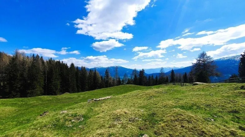 Weite grüne Wiesen mit dichtem Wald und majestätischen Bergen unter strahlend blauem Himmel.