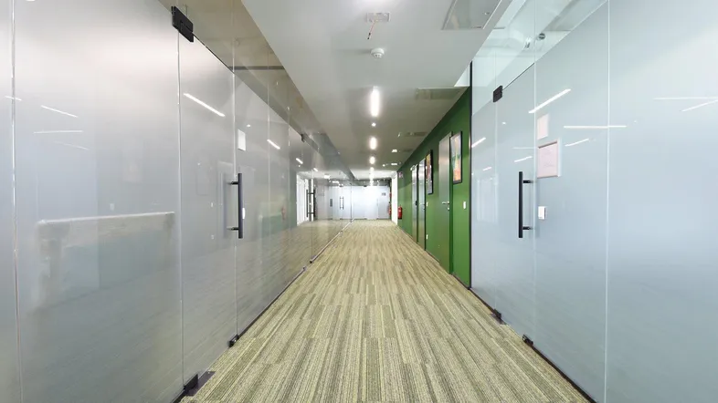 Moderner Bürogang mit Teppichboden, Glaswänden und grünen Akzenten, der zu verschiedenen Büros führt.