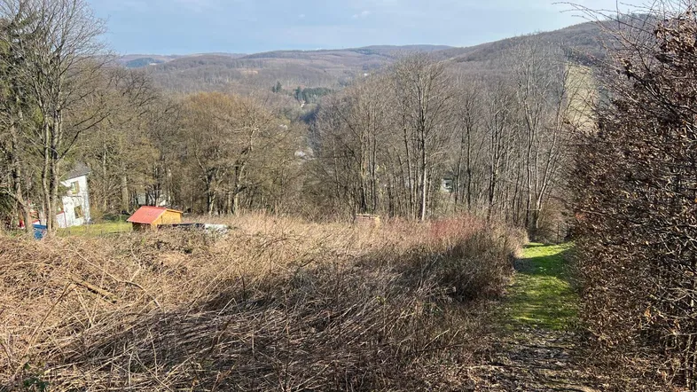 Weitläufiges Grundstück mit Blick auf bewaldete Hügel und ländliche Umgebung.