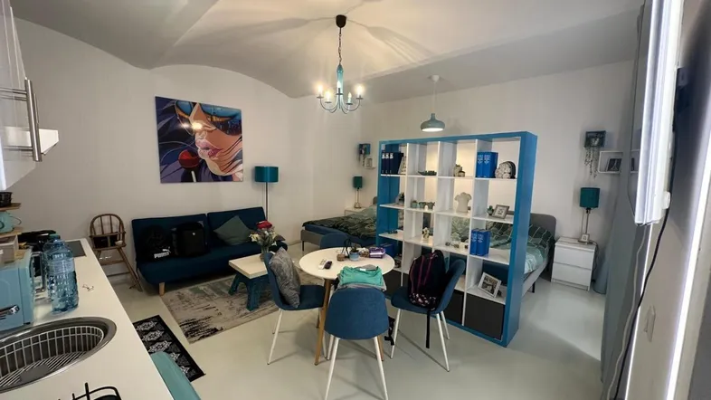 Helles Studio-Apartment mit kombiniertem Wohn-, Ess- und Schlafbereich sowie kleiner Küchenzeile und Gewölbedecke.
