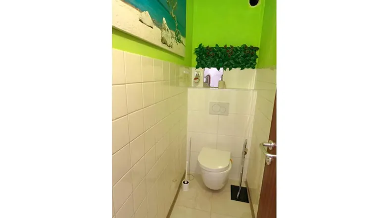 Separate Toilette mit Wand-WC, Waschbecken und hellgrünen Wänden.