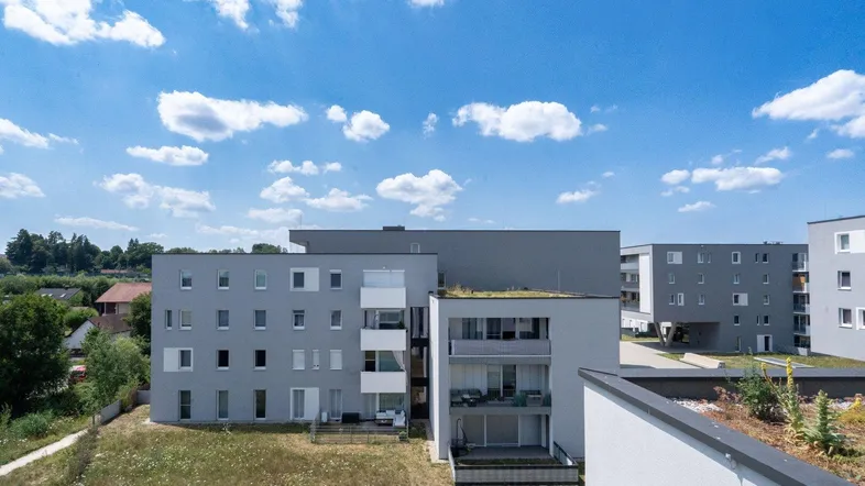 Moderne Wohngebäude mit grauer Fassade und begrüntem Flachdach unter blauem Himmel.