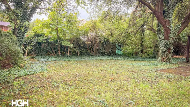 Großer, verwilderter Garten mit altem Baumbestand und viel Grünfläche, ideal für Naturliebhaber.