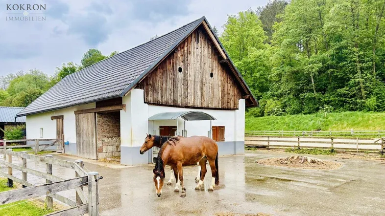 Rustikales Stallgebäude mit Holzakzenten und zwei Pferden davor, umgeben von grüner Natur.