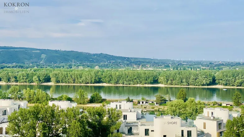 Panoramablick auf den Fluss, grüne Landschaft und moderne Wohngebäude am Ufer.
