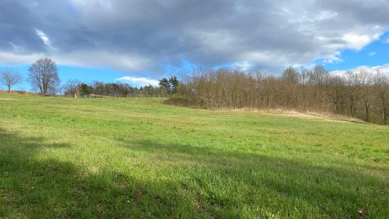 Weitläufige grüne Wiesenlandschaft unter einem bewölkten Himmel mit Bäumen im Hintergrund.