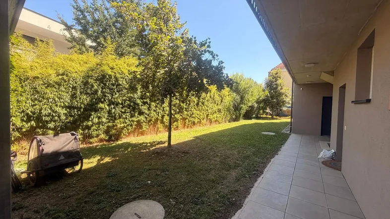 Gepflegte Rasenfläche mit einem Baum und einer hohen Hecke entlang des Gebäudes.