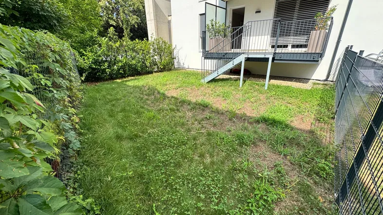 Kleiner privater Gartenbereich mit Rasenfläche und umgebender Hecke, ideal zum Entspannen im Freien.