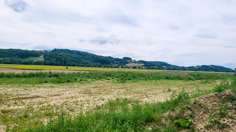 Bild2.jpg