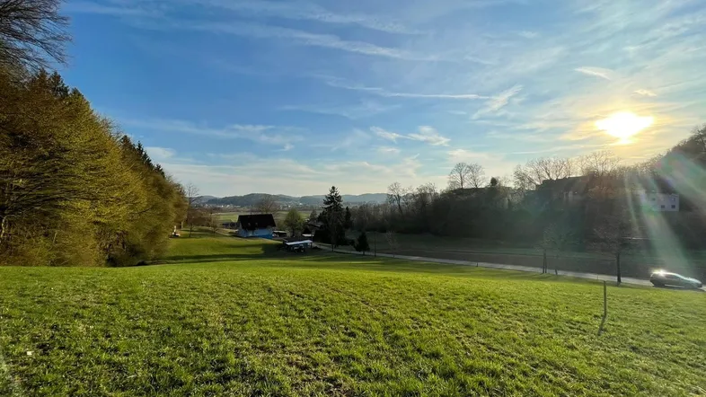 Weitläufige grüne Landschaft mit sanften Hügeln, Bäumen und einem sonnigen Himmel am Horizont.