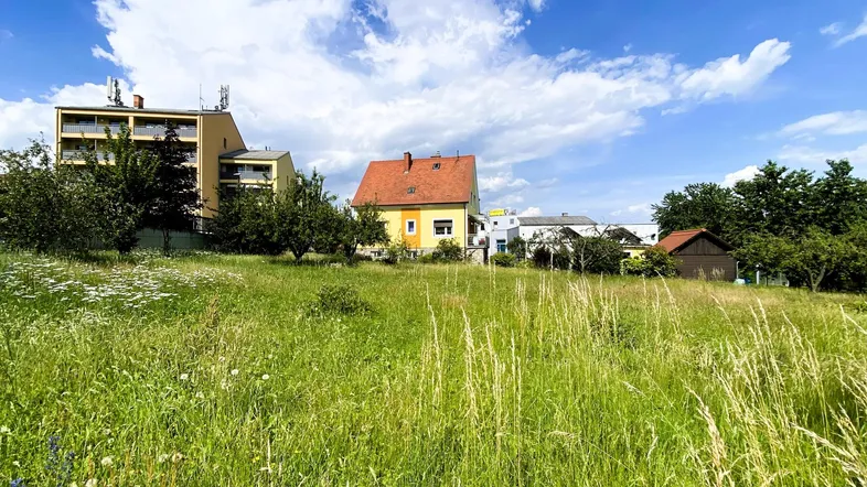 Weitläufige Grünfläche mit Blick auf umliegende Gebäude und blauen Himmel.
