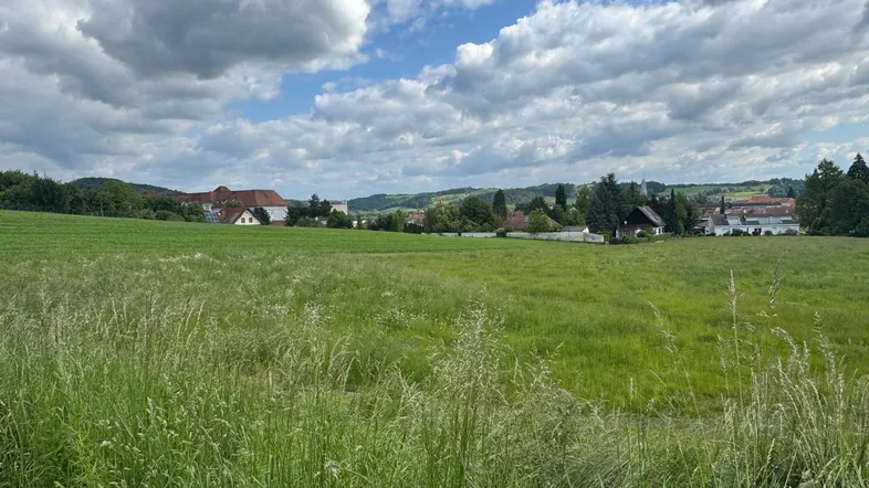 Grüne Wiesenlandschaft mit vereinzelten Häusern am Horizont unter bewölktem Himmel.