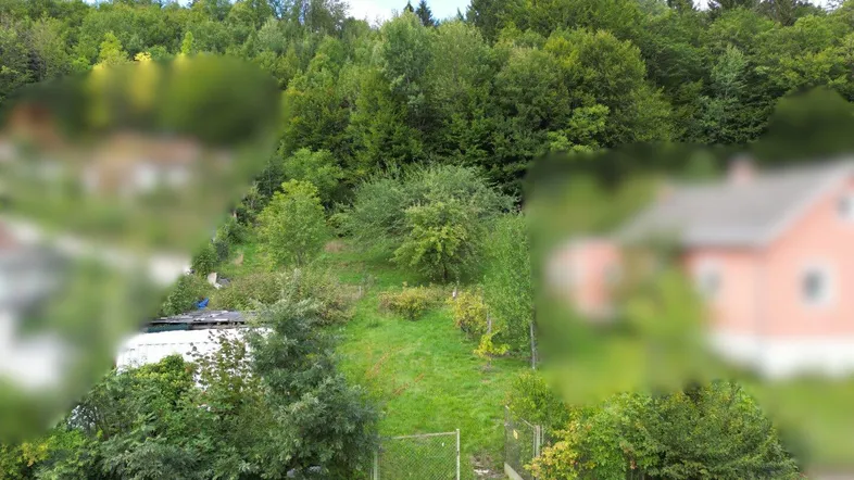 Luftaufnahme eines bewaldeten Hanggrundstücks mit viel Grün und unscharfen Gebäuden im Hintergrund.