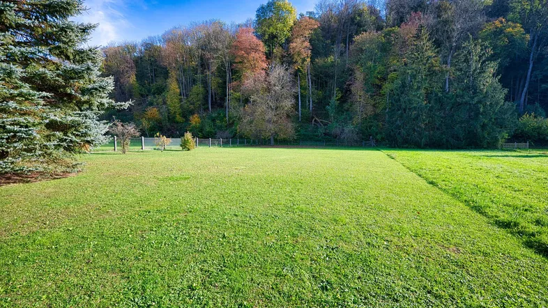 Große Rasenfläche mit üppigem Grün und Wald im Hintergrund, ideal für Erholung und Freizeit.