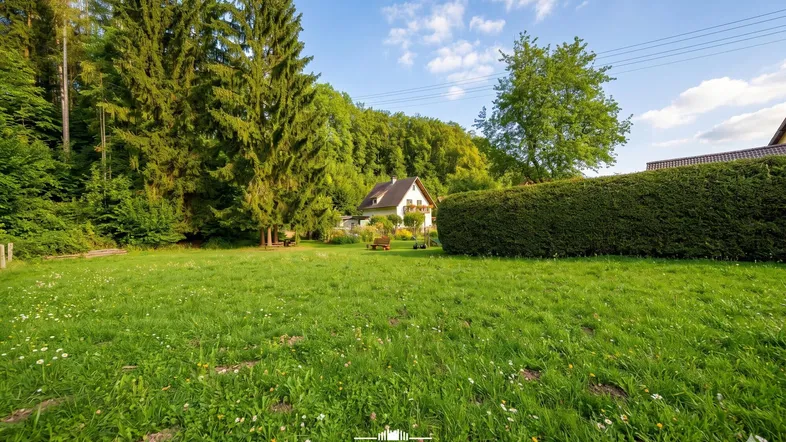Weitläufige Rasenfläche mit hohen Bäumen und einem Haus im Hintergrund unter blauem Himmel.