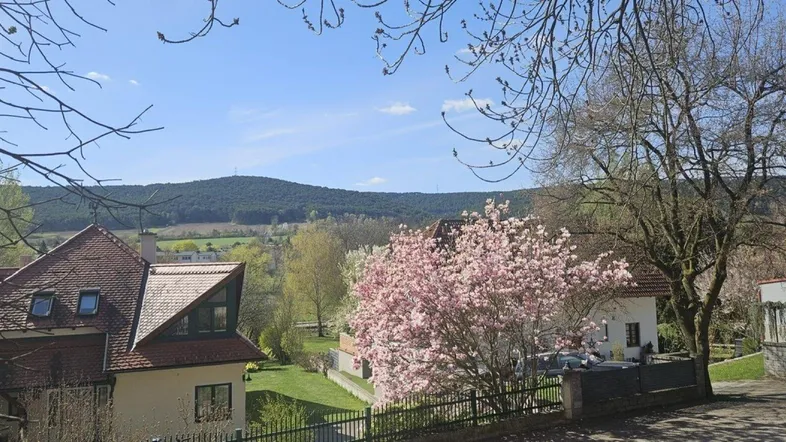 Malerischer Ausblick auf ein Tal mit blühenden Bäumen und Häusern vor einer bewaldeten Bergkulisse.