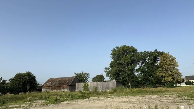 Freies Grundstück mit Bäumen und einem alten Schuppen im Hintergrund unter blauem Himmel.