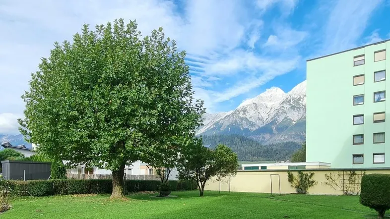 Grüner Gartenbereich mit Rasenfläche und Bäumen, im Hintergrund sind schneebedeckte Berge zu sehen.