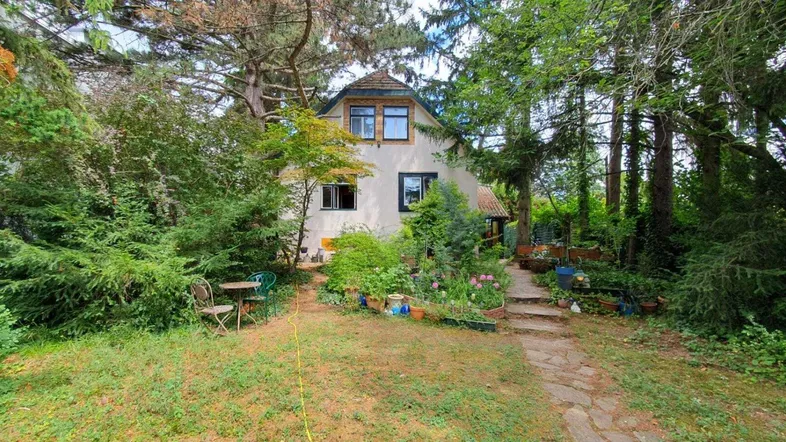 Das Haus ist von einem üppigen, naturbelassenen Garten mit einem Steinweg umgeben.