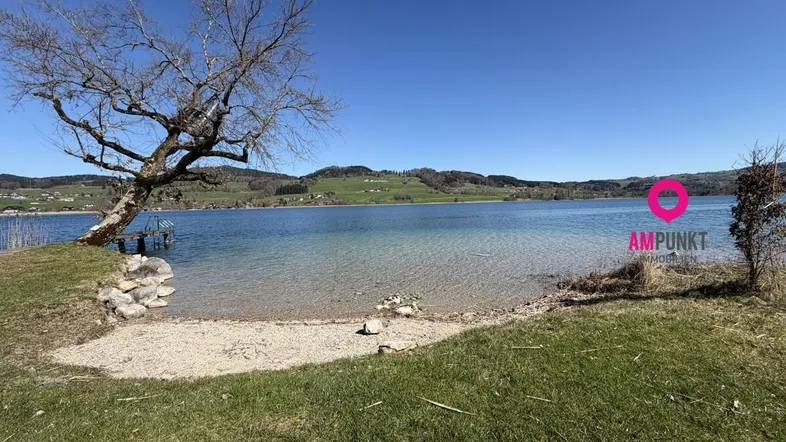 Idyllisches Seeufer mit einem markanten Baum, kleinem Strandabschnitt und grünen Hügeln im Hintergrund.