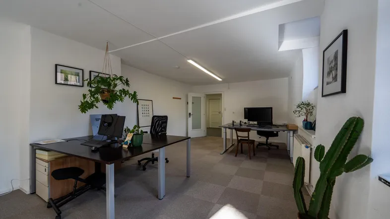 Geräumiges Büro mit mehreren Arbeitsplätzen, Teppichboden und Pflanzen, ideal für ein kleines Team.