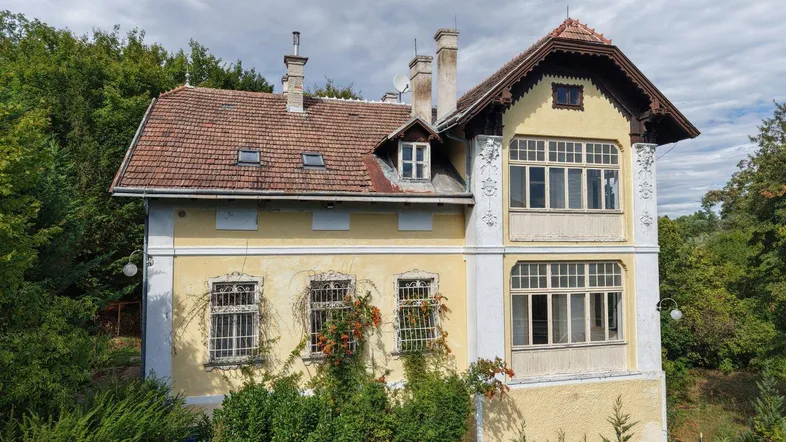 Historische Villa mit gelber Fassade, roten Ziegeln und umgeben von üppigem Grün.