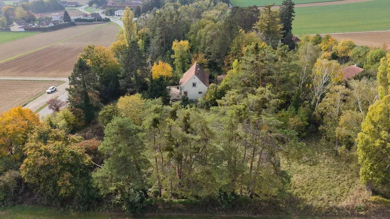 Luftaufnahme eines Hauses umgeben von dichtem Baumbestand und weiten Feldern in ländlicher Umgebung.