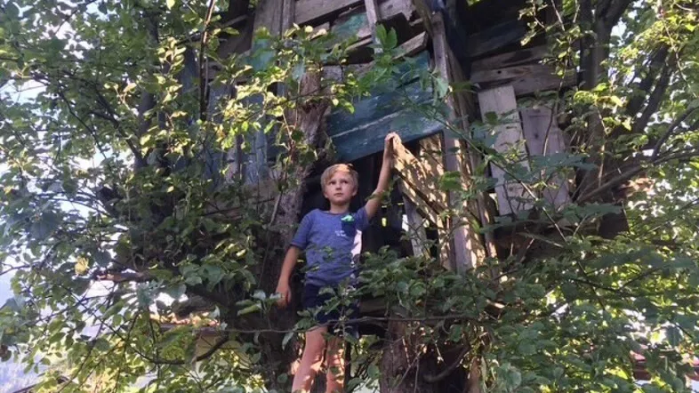 Ein Junge steht in einem rustikalen Baumhaus, umgeben von grünen Blättern und Bäumen.