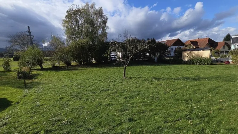 Weitläufige grüne Rasenfläche mit Bäumen und Häusern im Hintergrund unter bewölktem Himmel.