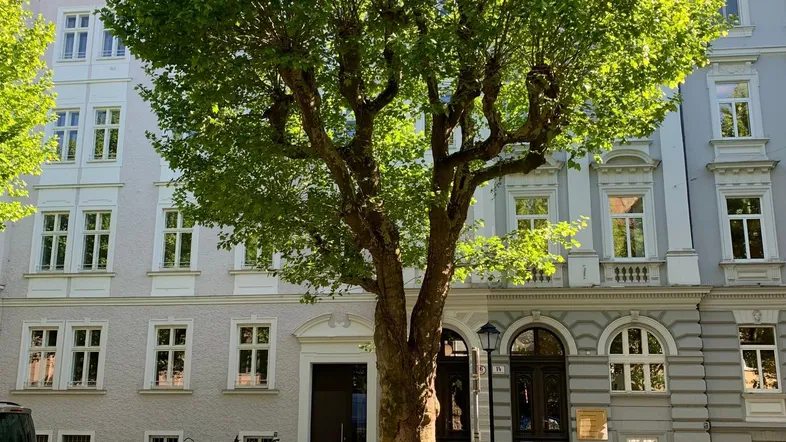Historisches Gebäude mit klassischer Fassade und einem großen Baum davor an einer sonnigen Straße.