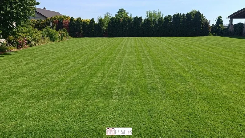 Große, gepflegte Rasenfläche mit einer dichten Hecke im Hintergrund und angrenzenden Gebäuden.