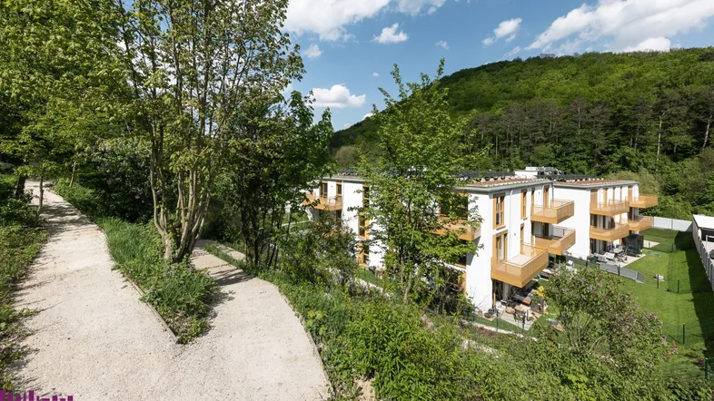 PROVISIONSFREI ! Terrassenwohnungen in sonniger Waldrand Ruhelage