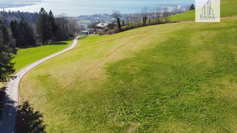 Luftaufnahme eines grünen Hanggrundstücks mit Seeblick und umliegender Natur.