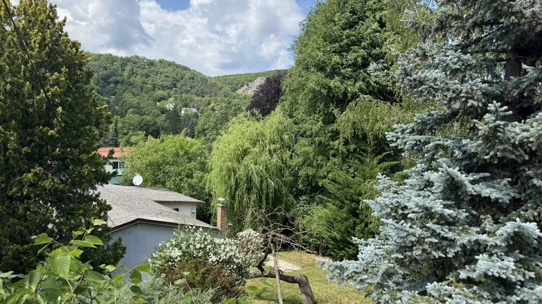 Panoramablick auf eine grüne Hügellandschaft mit üppiger Vegetation und vereinzelten Häusern.