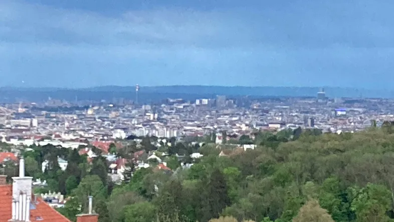 Weitläufiger Blick über die Stadt Wien und grüne Hügel unter bewölktem Himmel.