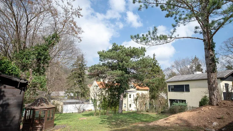 Großer Gartenbereich mit Rasenfläche, Bäumen und einem kleinen Gartenhaus, umgeben von weiterer Bebauung.