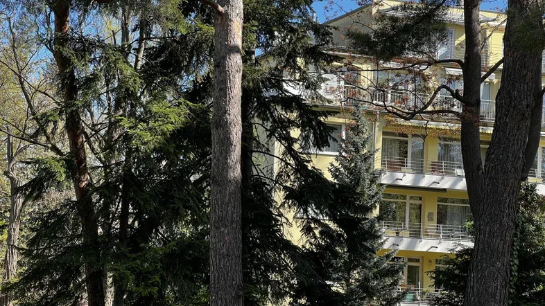 Gelbes Gebäude umgeben von hohen Bäumen und grüner Vegetation an einem sonnigen Tag.