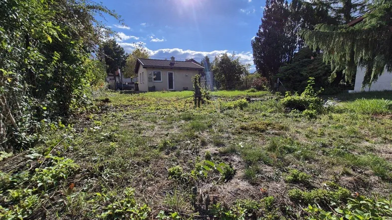 Sonniges Grundstück mit viel Grün und einem kleinen Haus im Hintergrund, ideal für Gartenliebhaber.