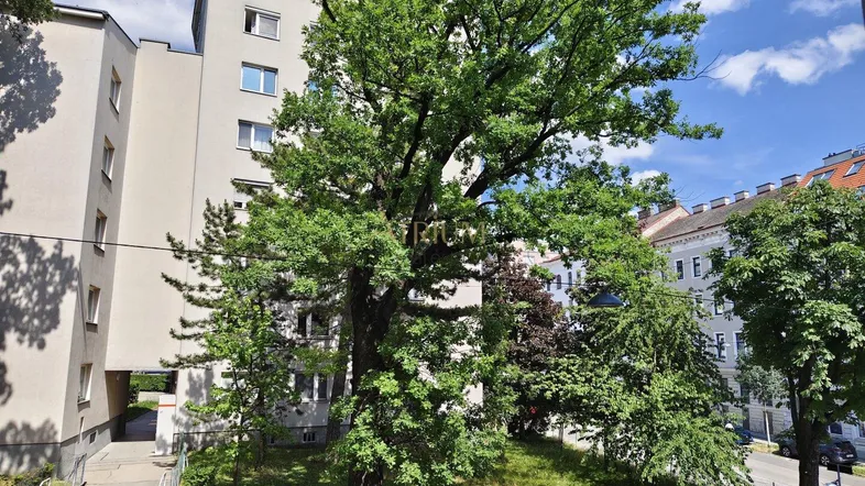 Mehrstöckiges Wohngebäude mit großen Bäumen und Blick auf die Straße in einer städtischen Umgebung.