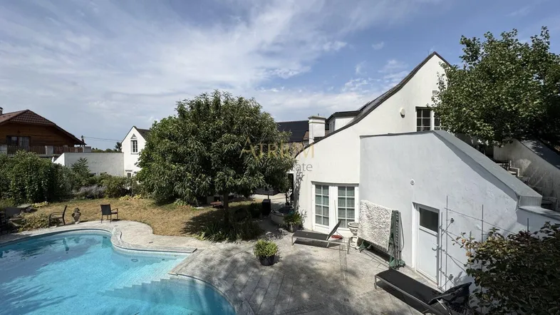 Großzügiger Außenbereich mit geschwungenem Pool und weitläufiger Terrasse unter blauem Himmel.